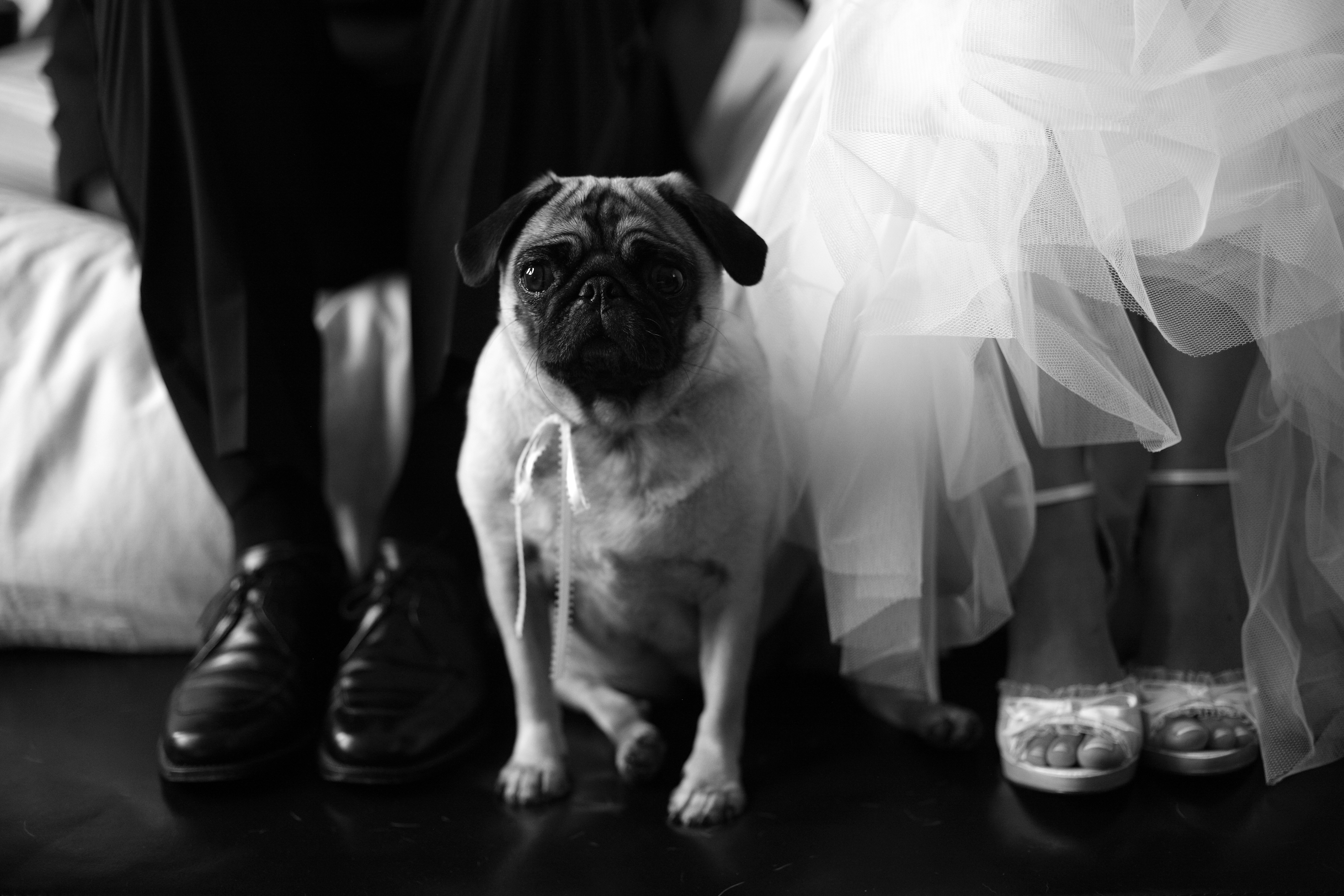 Cornerstone Photography